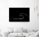 Amot - Untitled by 1X on GIANT ART - white animals