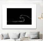 Amot - Untitled by 1X on GIANT ART - white animals