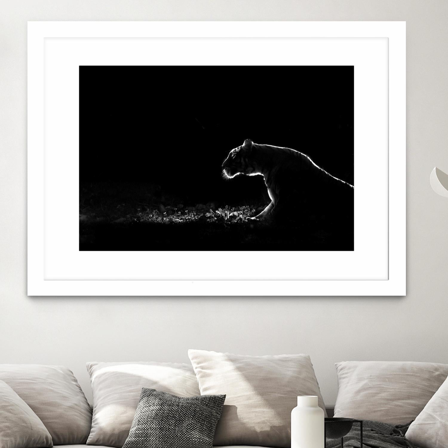 Amot - Untitled by 1X on GIANT ART - white animals