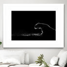 Amot - Untitled by 1X on GIANT ART - white animals