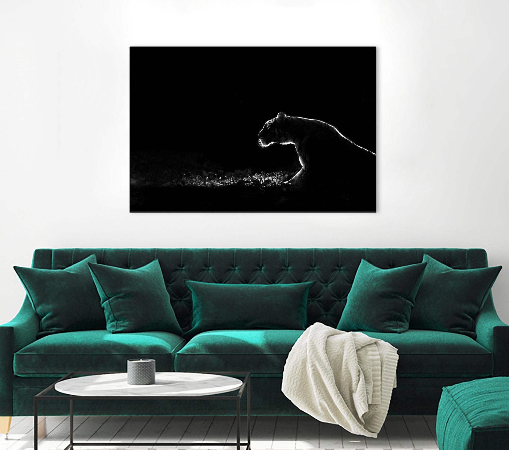 Amot - Untitled by 1X on GIANT ART - white animals