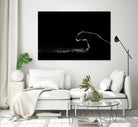 Amot - Untitled by 1X on GIANT ART - white animals