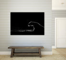 Amot - Untitled by 1X on GIANT ART - white animals