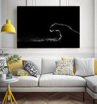 Amot - Untitled by 1X on GIANT ART - white animals