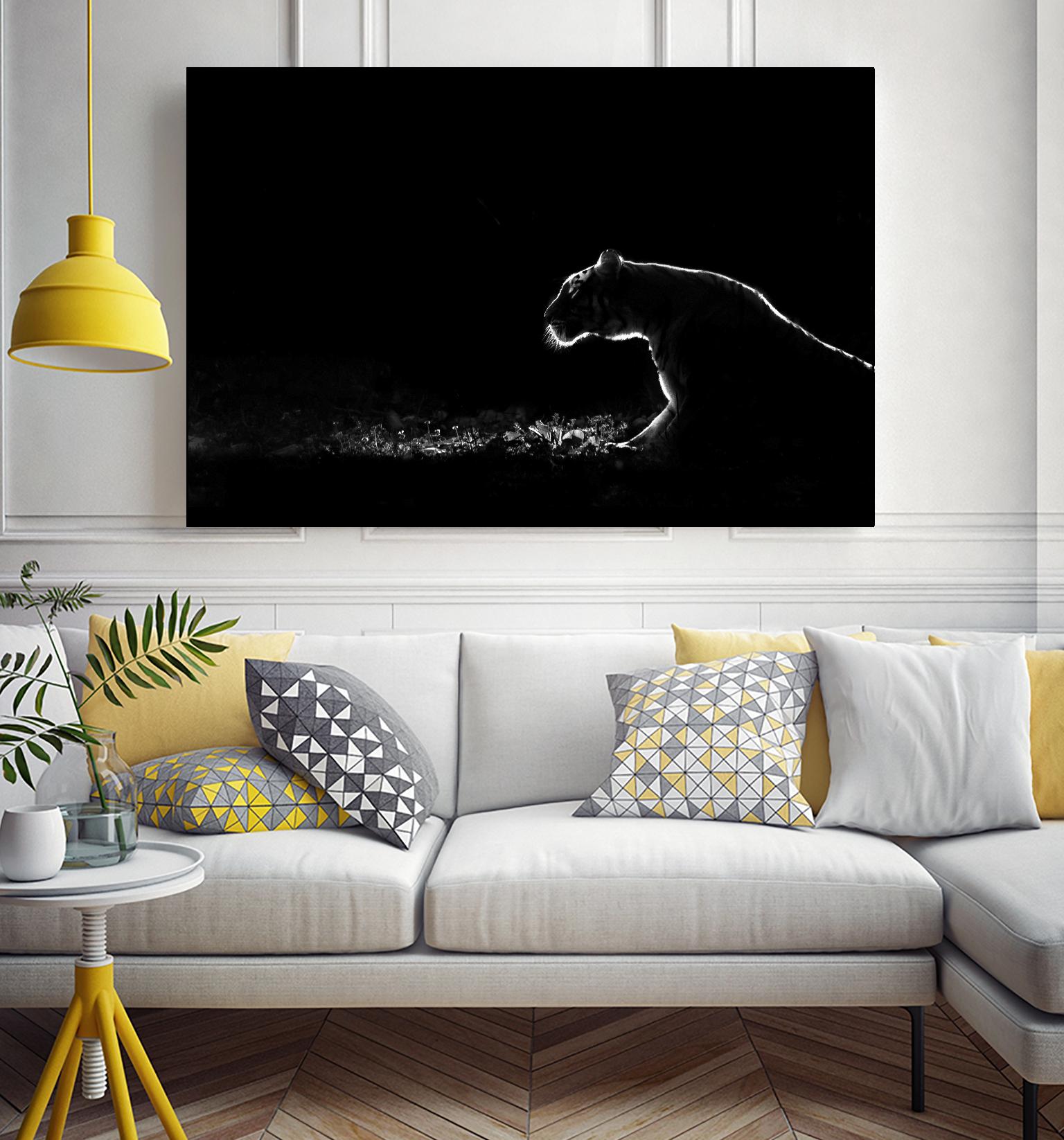 Amot - Untitled by 1X on GIANT ART - white animals