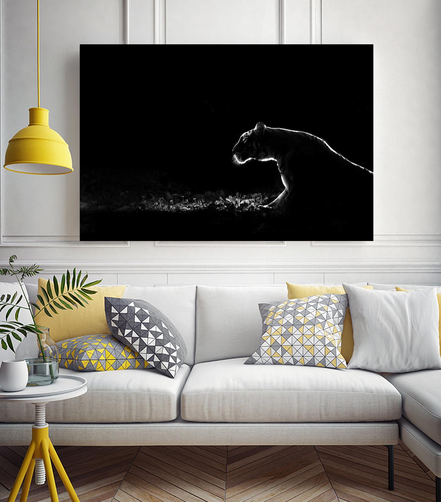 Amot - Untitled by 1X on GIANT ART - white animals