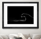 Amot - Untitled by 1X on GIANT ART - white animals