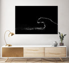 Amot - Untitled by 1X on GIANT ART - white animals