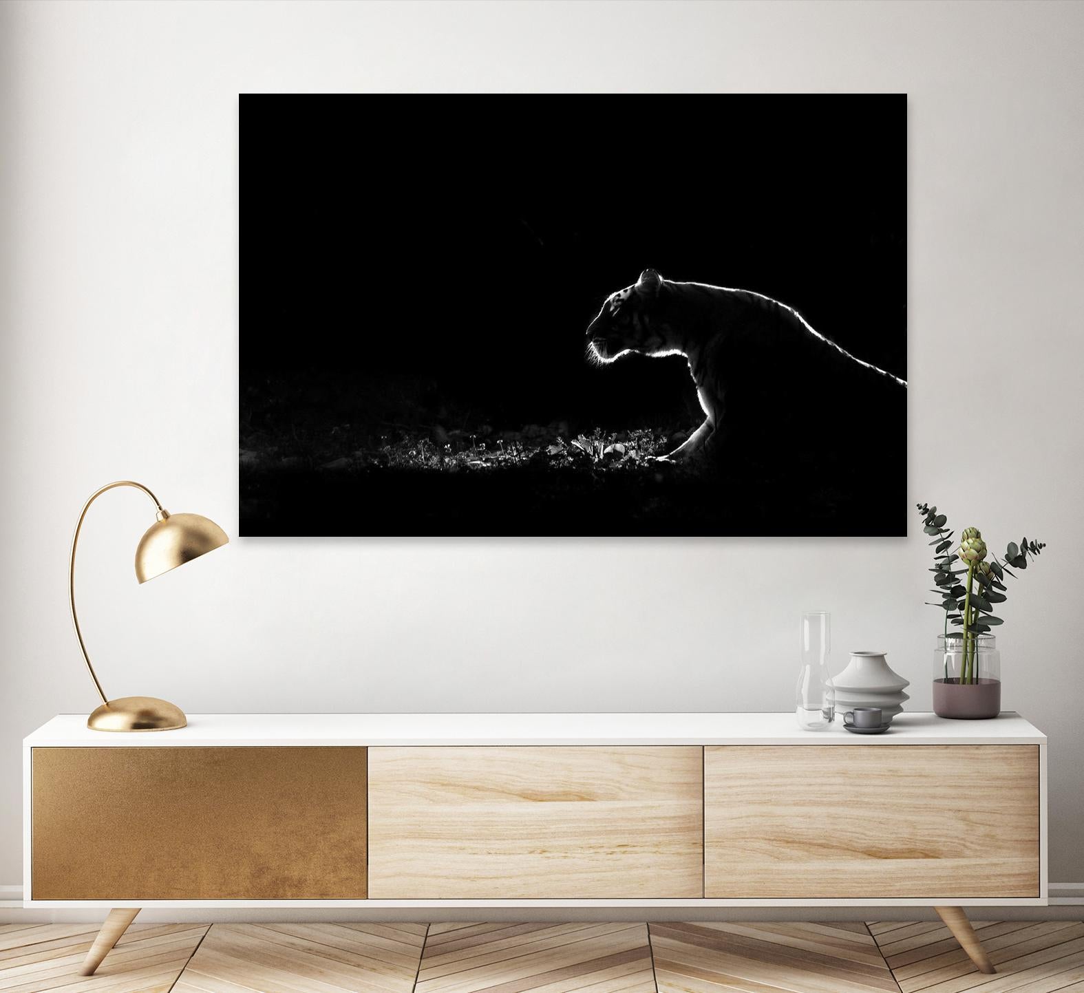 Amot - Untitled by 1X on GIANT ART - white animals