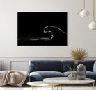 Amot - Untitled by 1X on GIANT ART - white animals
