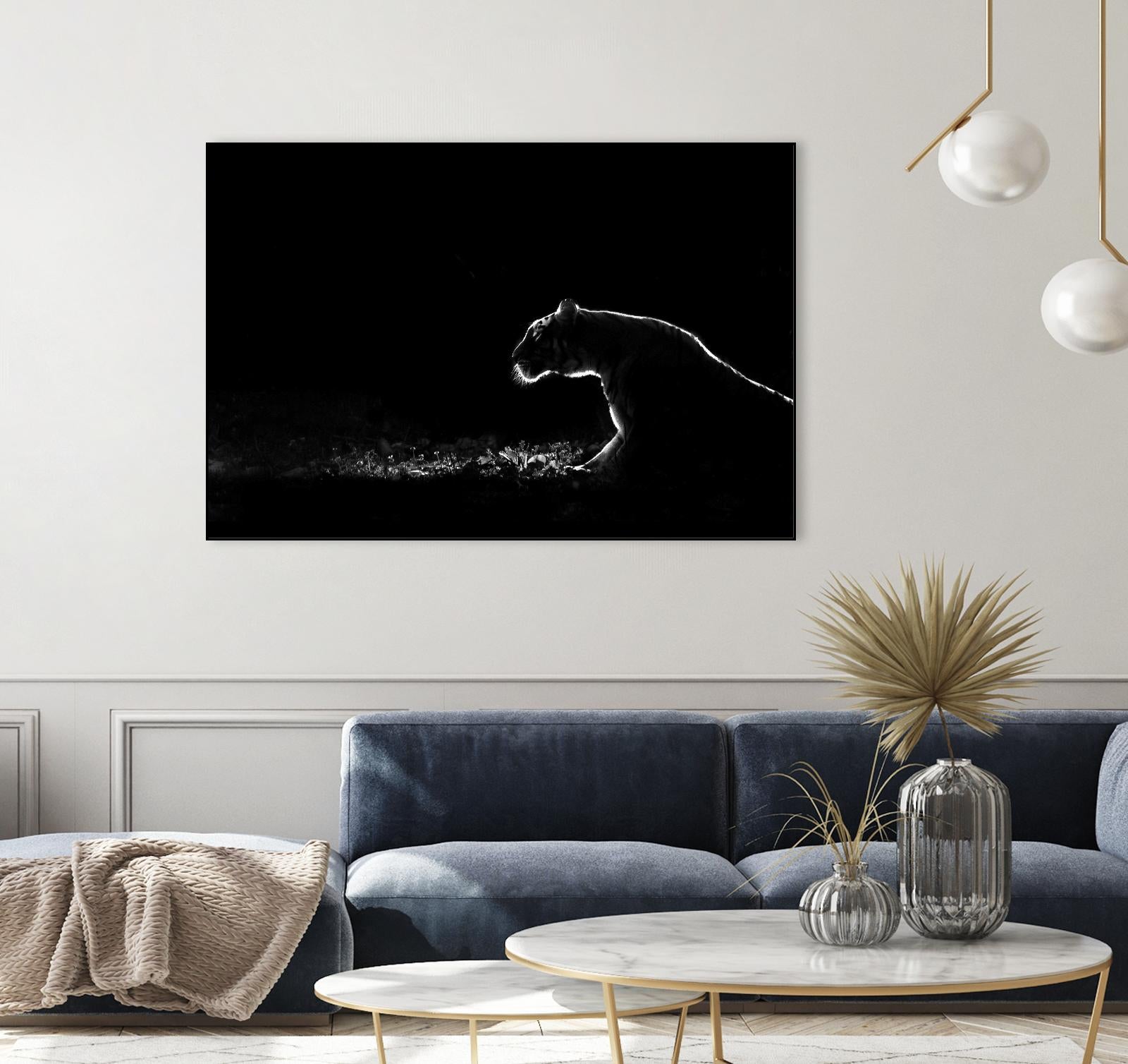 Amot - Untitled by 1X on GIANT ART - white animals