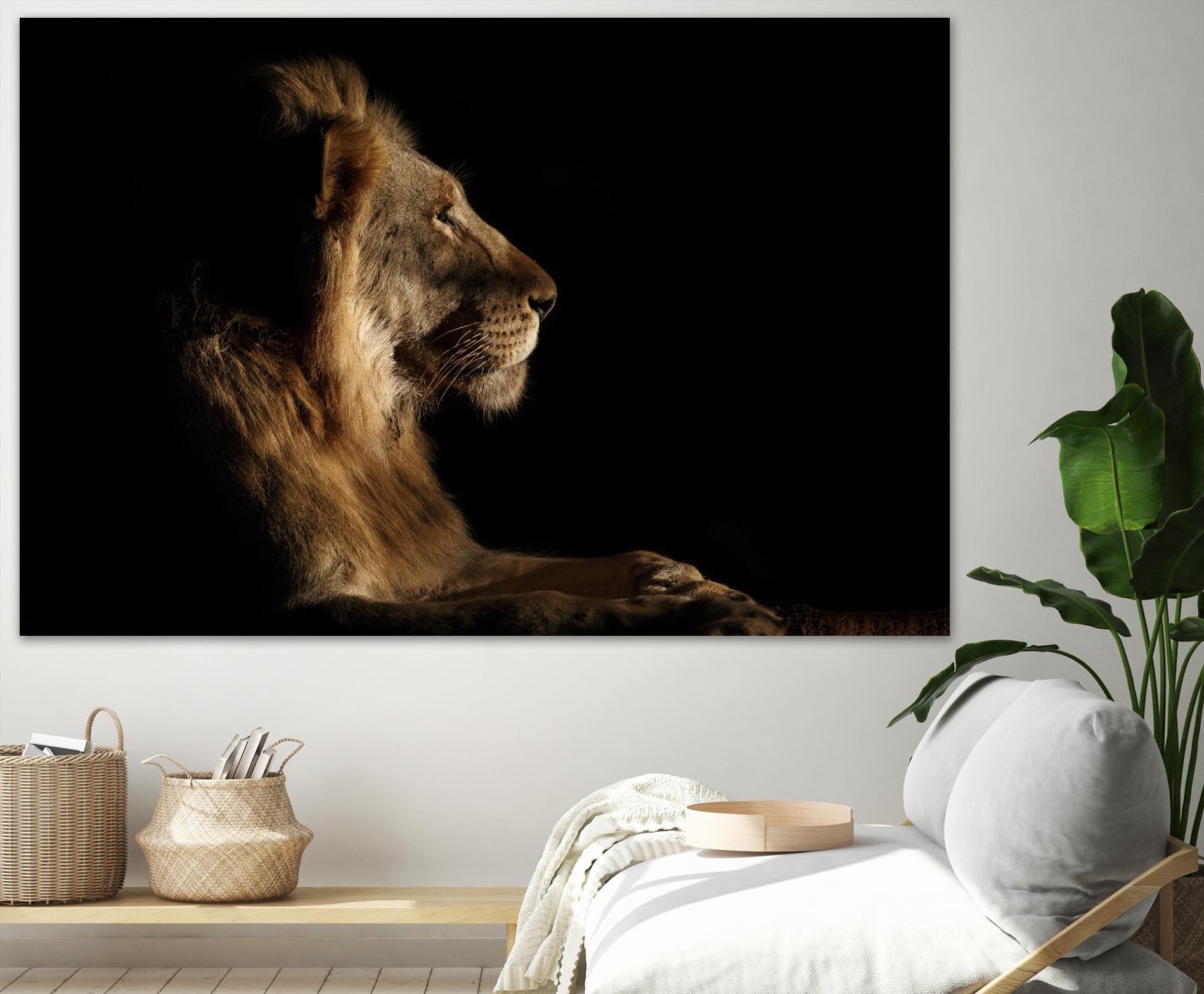 Royal Meeting in the Night by Hemb 1X on GIANT ART - black animals