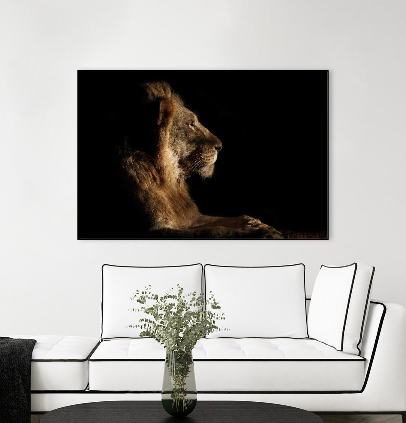 Royal Meeting in the Night by Hemb 1X on GIANT ART - black animals