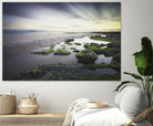 Cooper - Dawn over Seahouses Beach by 1X on GIANT ART - grey photo art