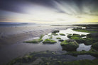 Cooper - Dawn over Seahouses Beach by 1X on GIANT ART - grey photo art