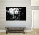 Doyle - Looking at Me Looking at You by 1X on GIANT ART - white photo art