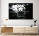 Doyle - Looking at Me Looking at You by 1X on GIANT ART - white photo art