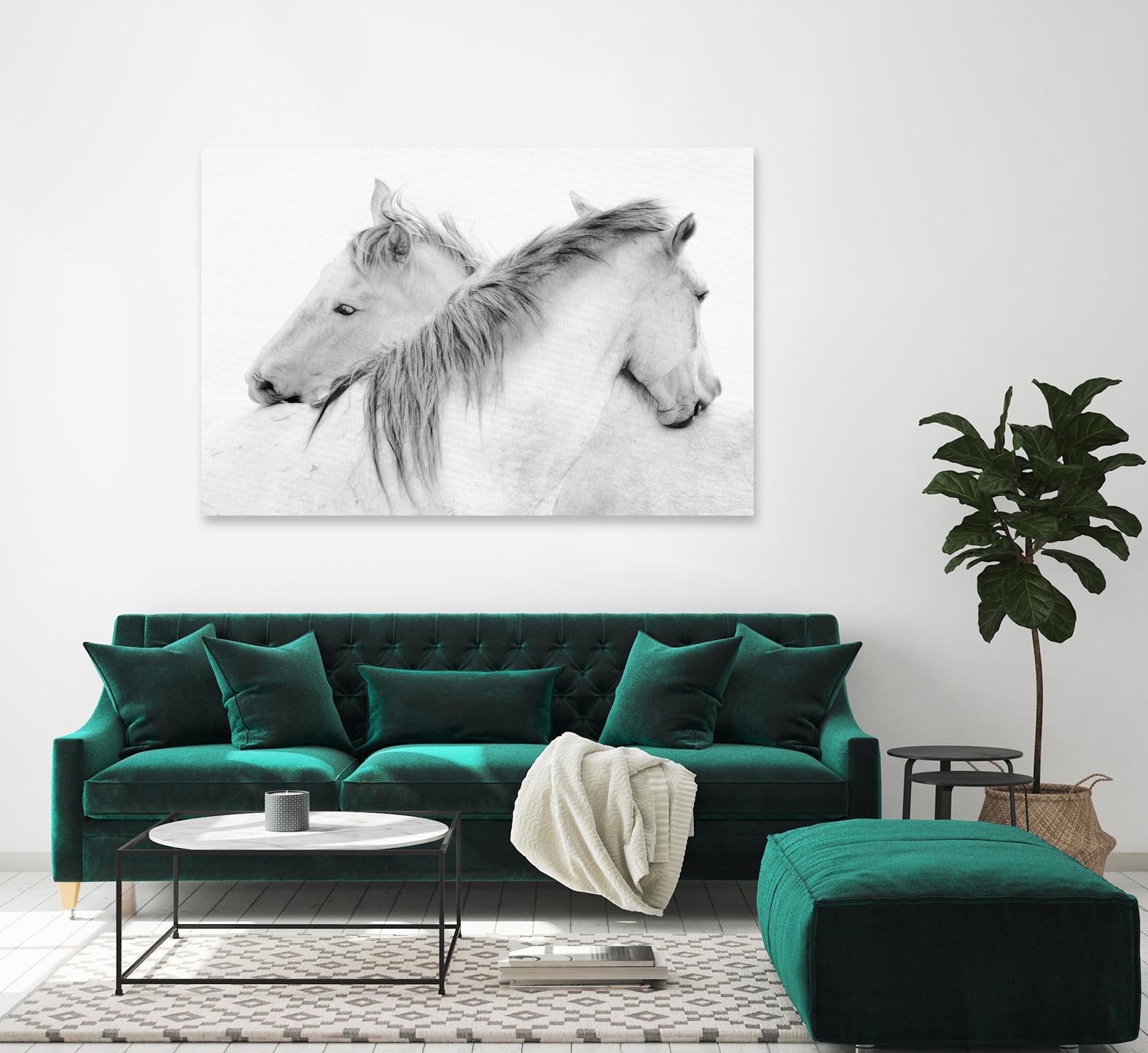 Stas - Horses by 1X on GIANT ART - white photo art