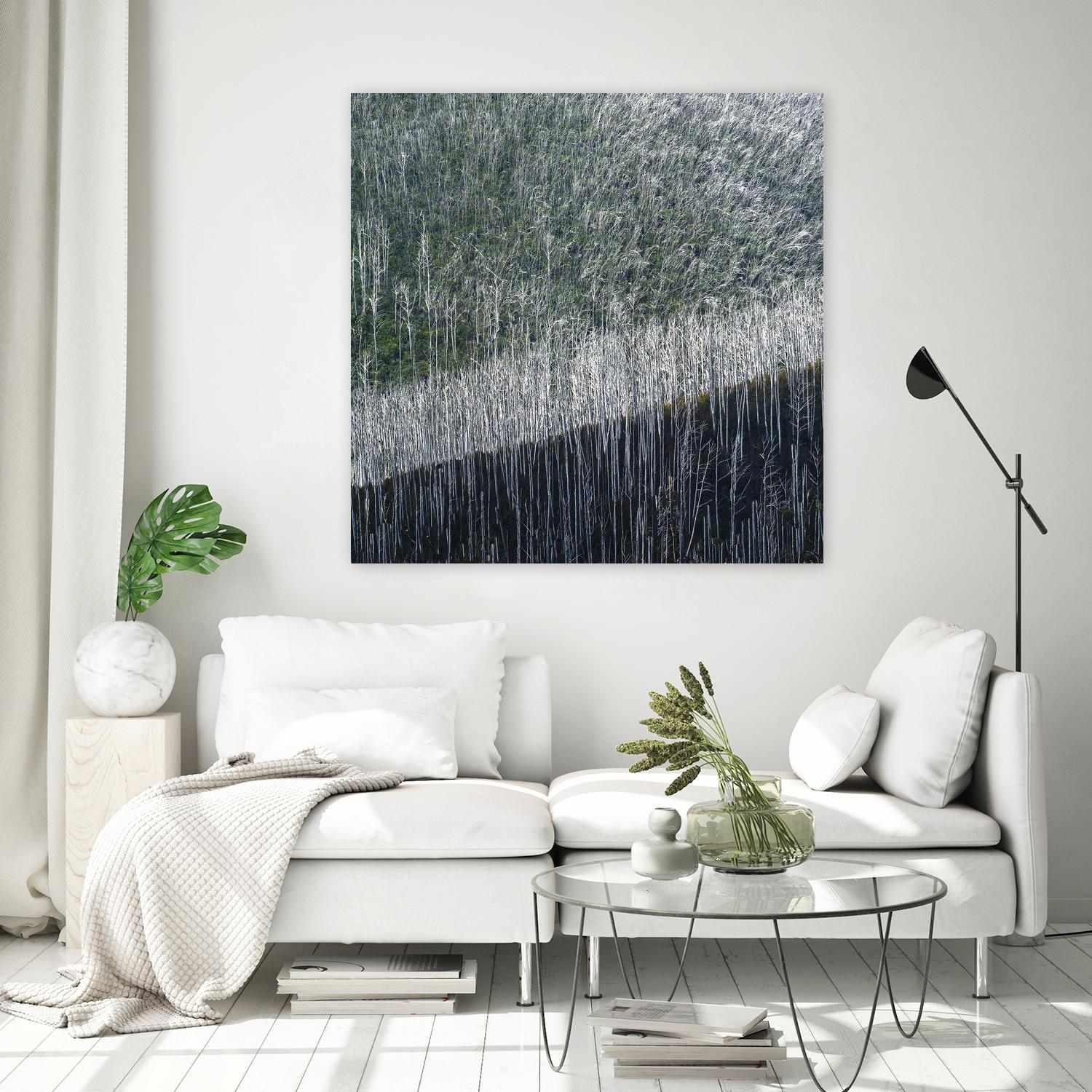 Coming back to life by 1X 1X on GIANT ART - black trees