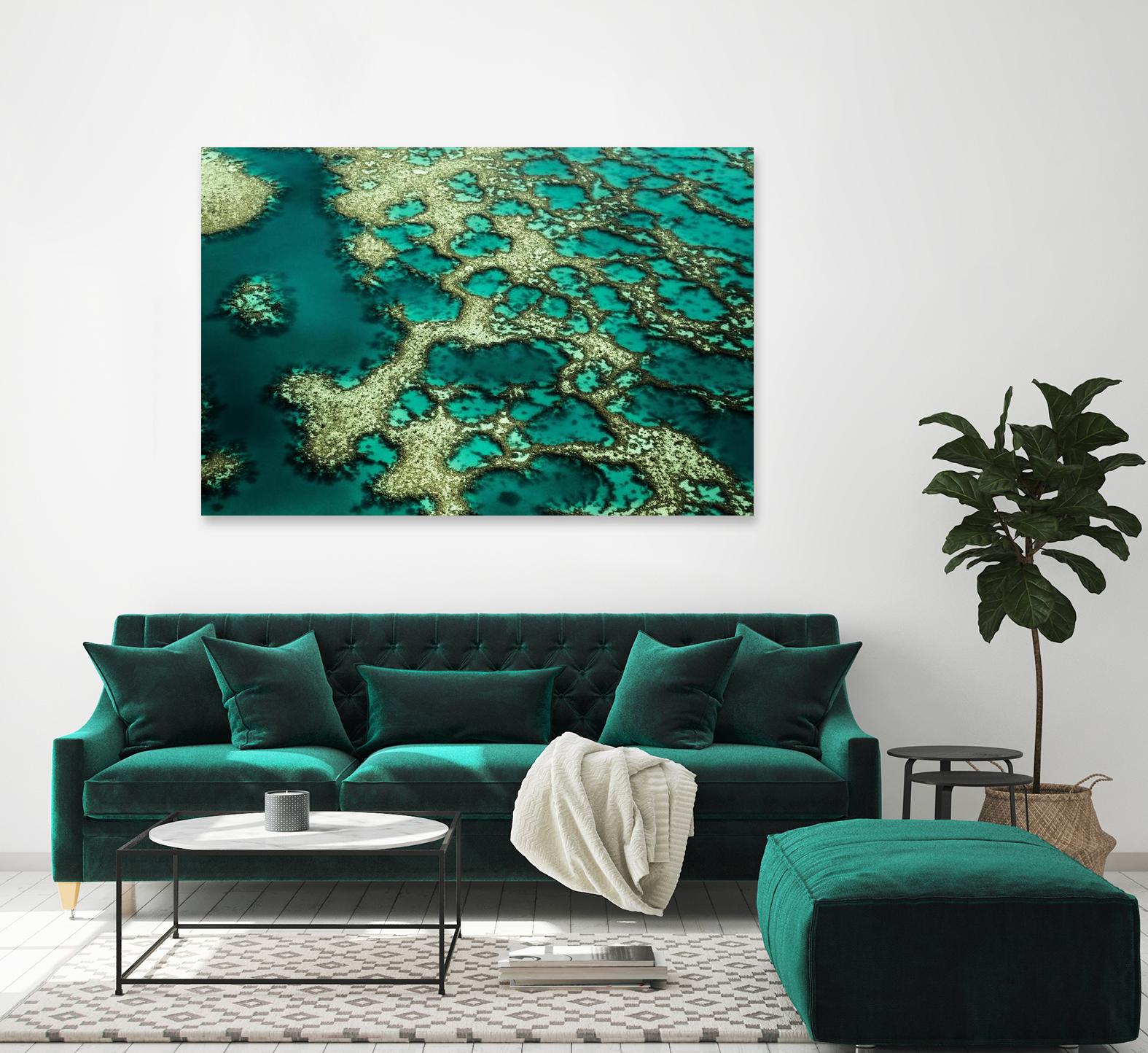 Wrobel - Gondwana by 1X on GIANT ART - green photo art