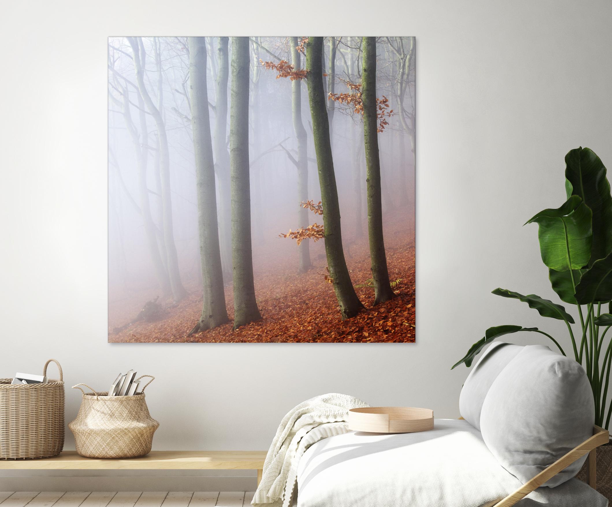 Fog by Popovsky 1X on GIANT ART - orange landscape