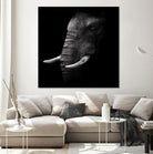 Portrait by WildPhotoArt on GIANT ART - white animal hear of elephant