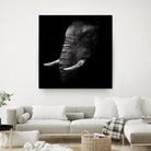 Portrait by WildPhotoArt on GIANT ART - white animal hear of elephant