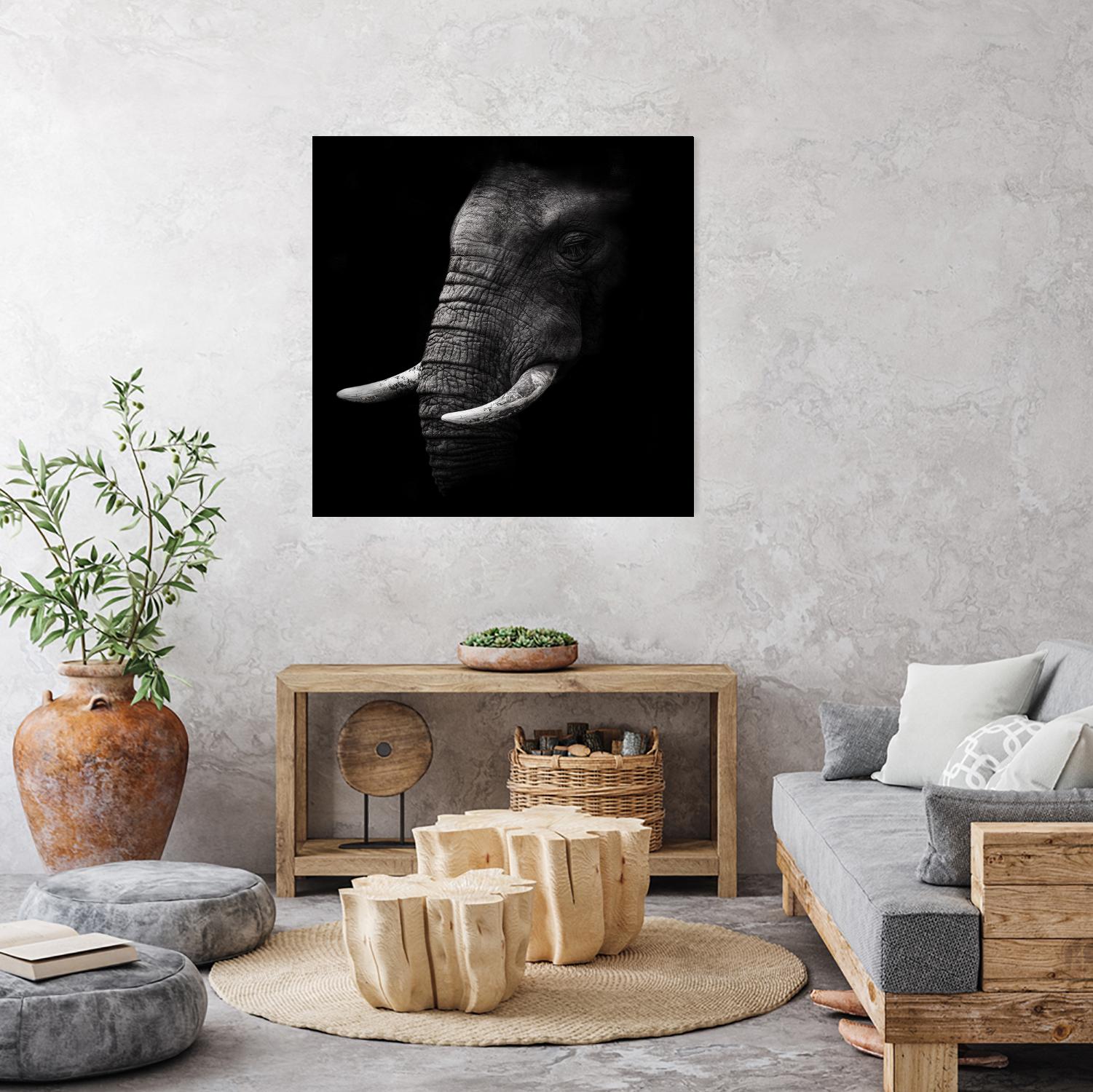 Portrait by WildPhotoArt on GIANT ART - white animal hear of elephant