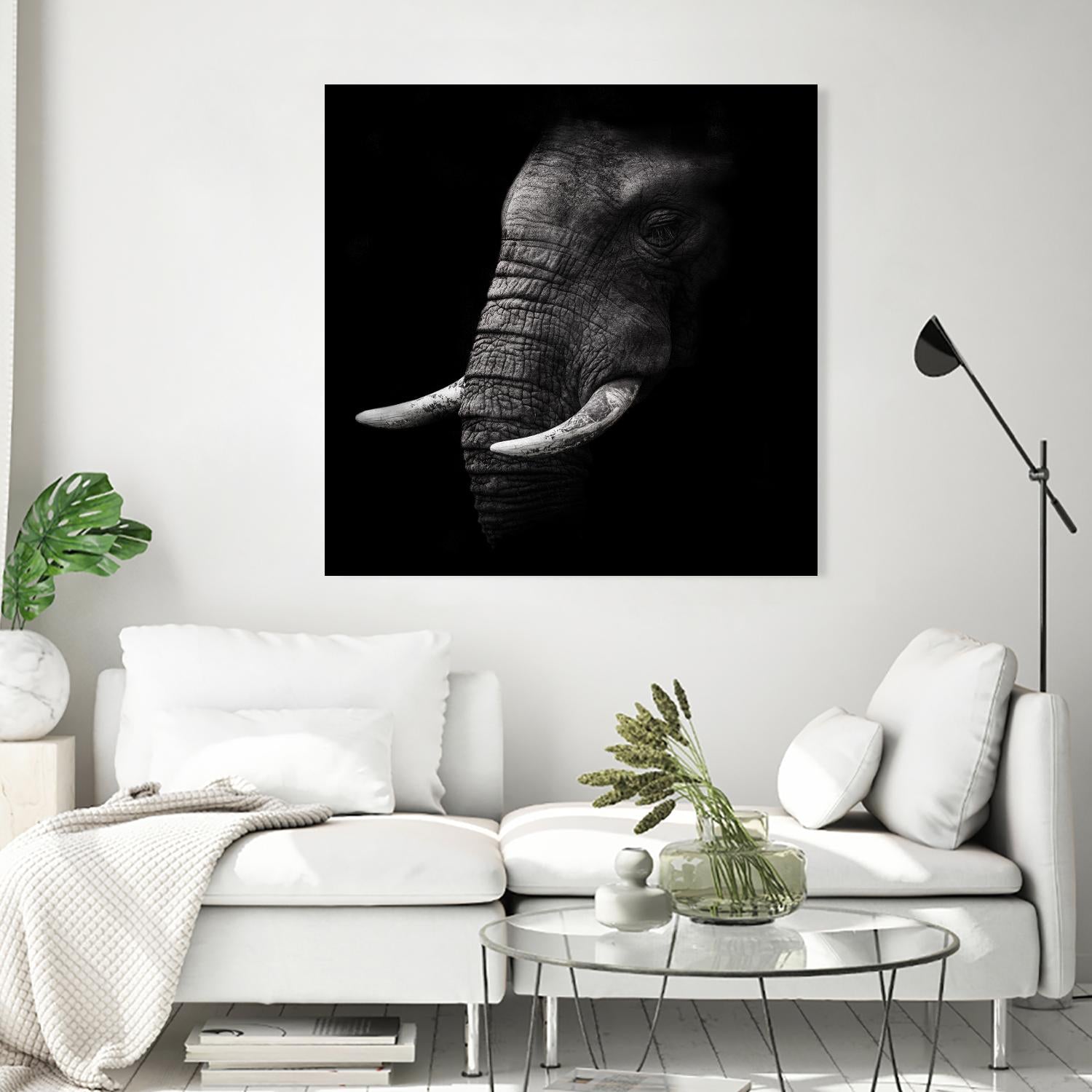 Portrait by WildPhotoArt on GIANT ART - white animal hear of elephant