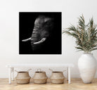 Portrait by WildPhotoArt on GIANT ART - white animal hear of elephant
