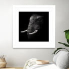 Portrait by WildPhotoArt on GIANT ART - white animal hear of elephant