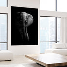 Elephant! by WildPhotoArt on GIANT ART - white black&white nature 