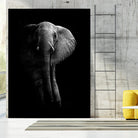Elephant! by WildPhotoArt on GIANT ART - white black&white nature 