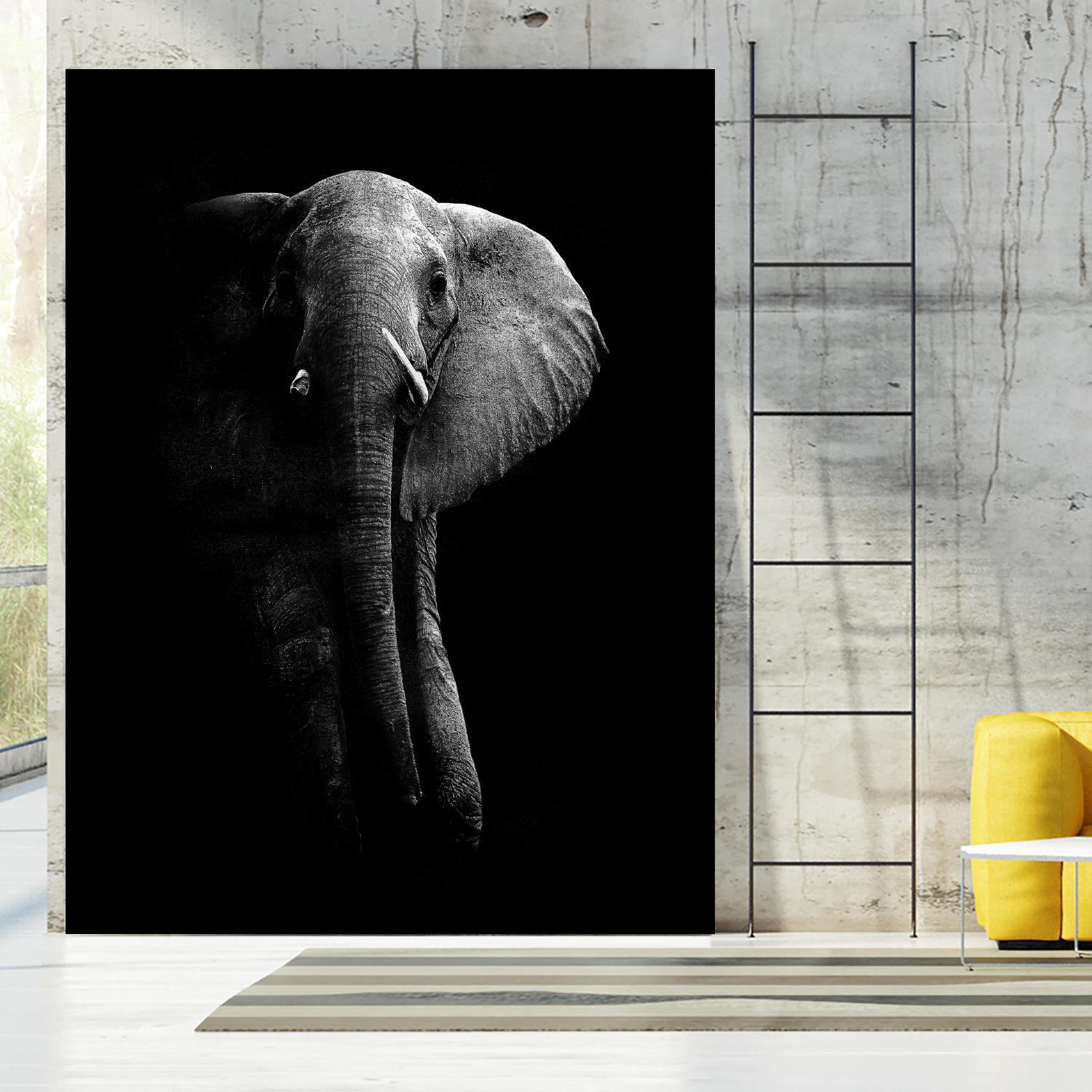 Elephant! by WildPhotoArt on GIANT ART - white black&white nature 