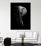 Elephant! by WildPhotoArt on GIANT ART - white black&white nature 