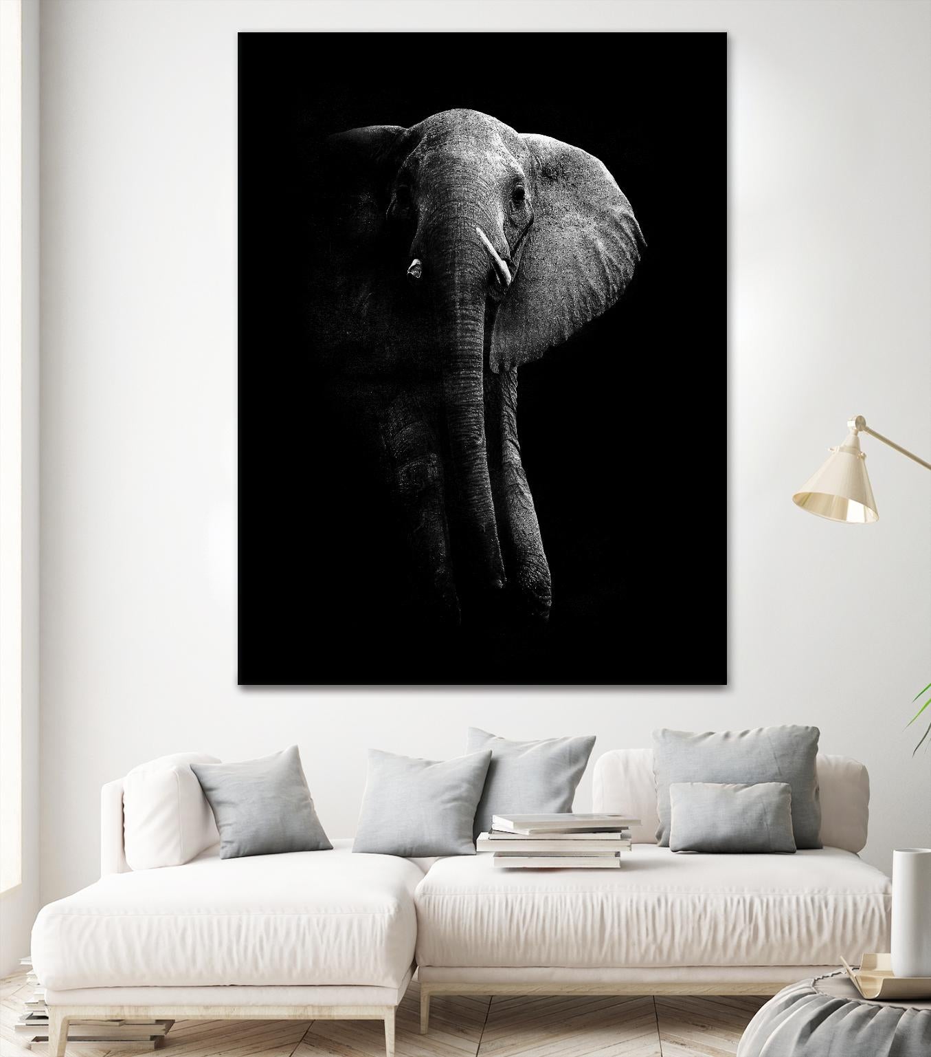 Elephant! by WildPhotoArt on GIANT ART - white black&white nature 