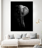 Elephant! by WildPhotoArt on GIANT ART - white black&white nature 
