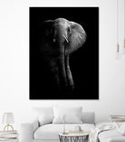 Elephant! by WildPhotoArt on GIANT ART - white black&white nature 