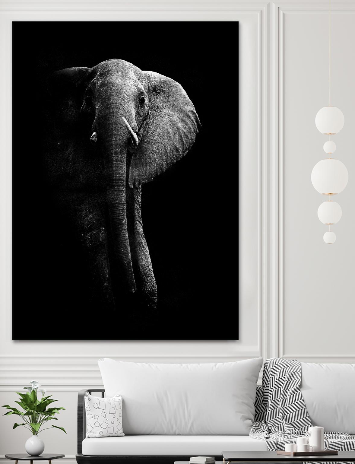 Elephant! by WildPhotoArt on GIANT ART - white black&white nature 