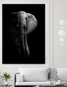 Elephant! by WildPhotoArt on GIANT ART - white black&white nature 