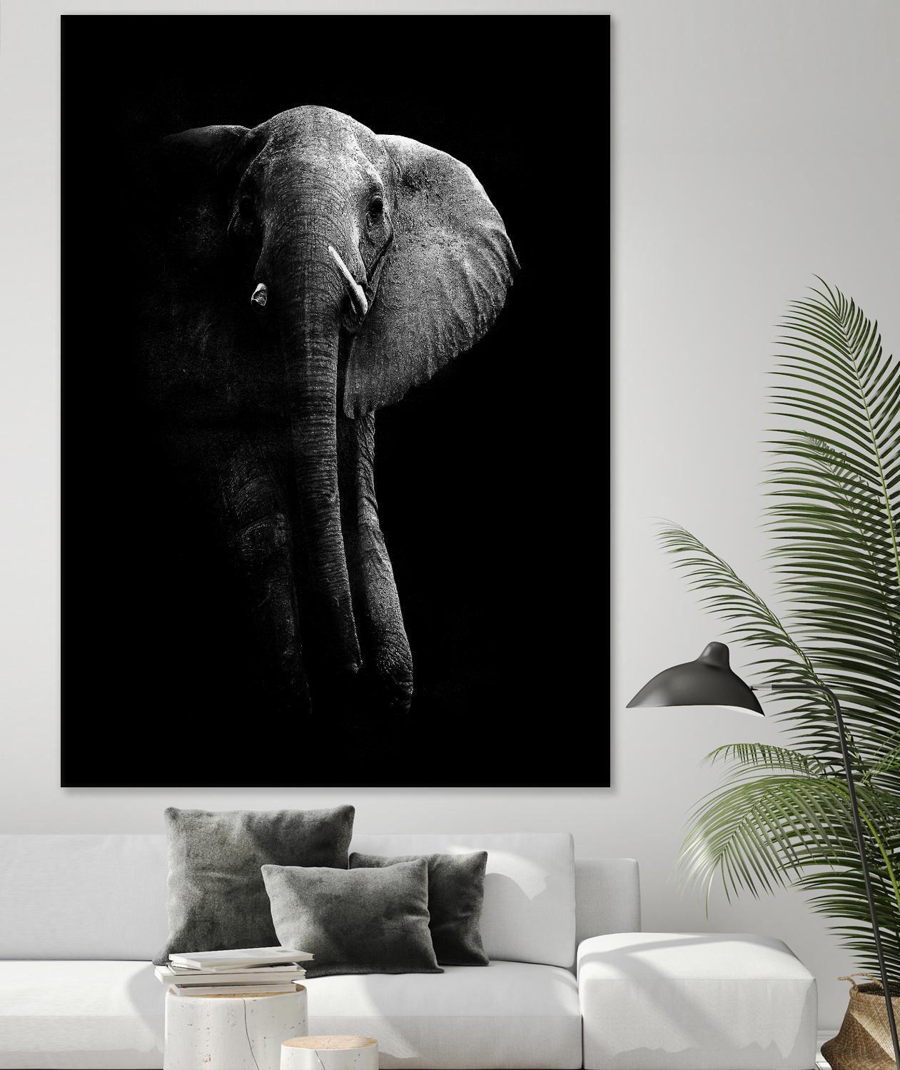 Elephant! by WildPhotoArt on GIANT ART - white black&white nature 