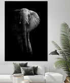 Elephant! by WildPhotoArt on GIANT ART - white black&white nature 