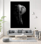 Elephant! by WildPhotoArt on GIANT ART - white black&white nature 