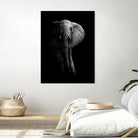 Elephant! by WildPhotoArt on GIANT ART - white black&white nature 