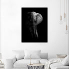 Elephant! by WildPhotoArt on GIANT ART - white black&white nature 