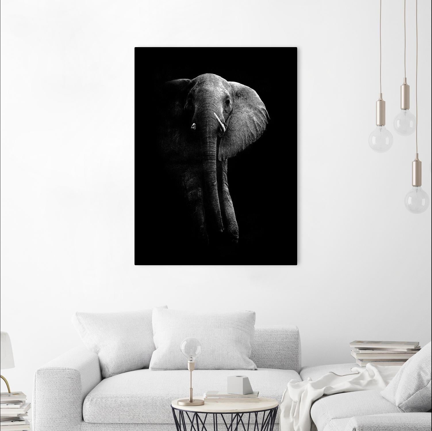 Elephant! by WildPhotoArt on GIANT ART - white black&white nature 