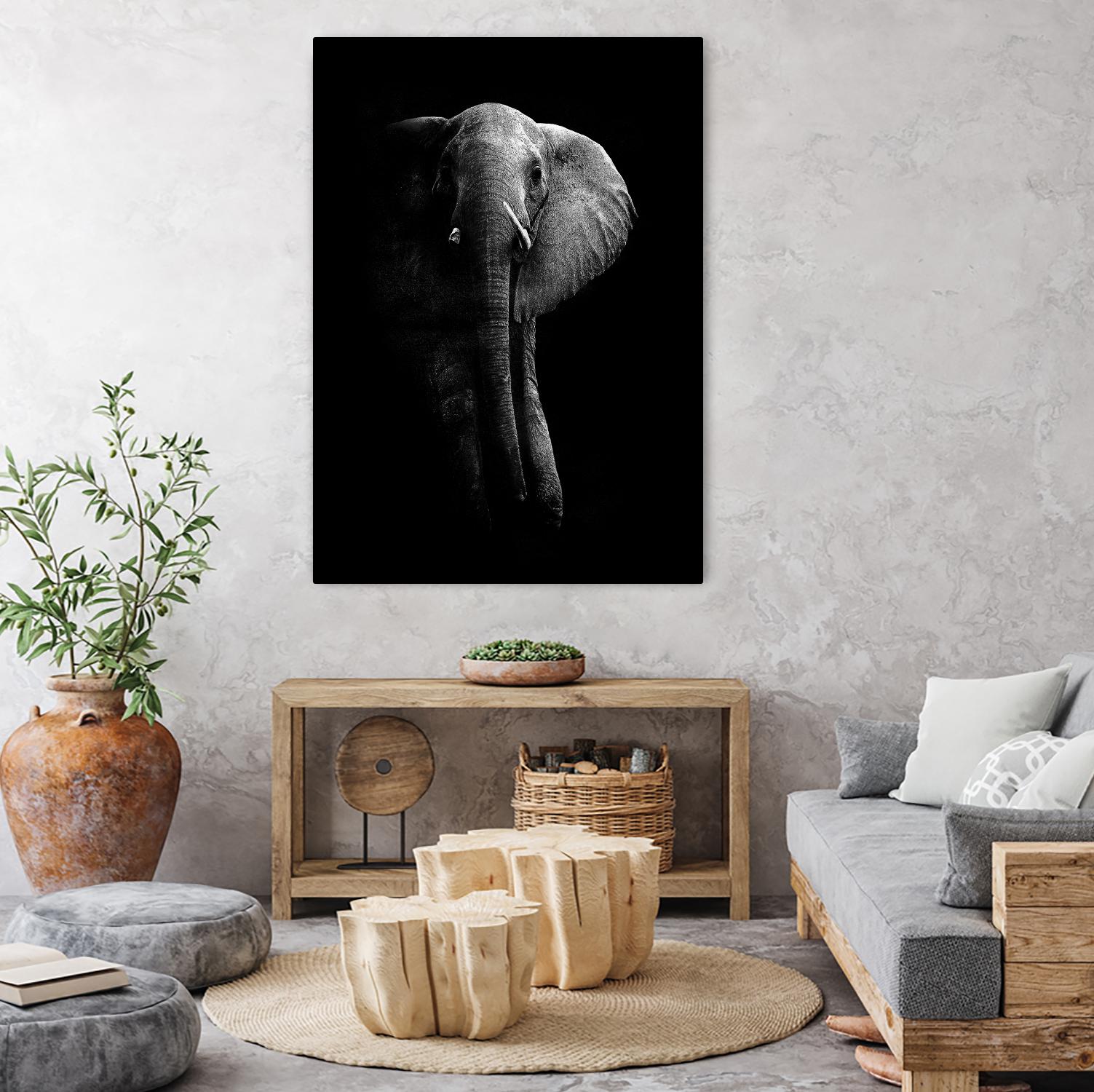 Elephant! by WildPhotoArt on GIANT ART - white black&white nature 