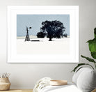 Keeping Company by Ynon Mabat on GIANT ART - farm 