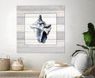 Muted Blue Sea Conch On Wood by Lanie Loreth on GIANT ART - coastal 