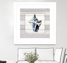 Muted Blue Sea Conch On Wood by Lanie Loreth on GIANT ART - coastal 